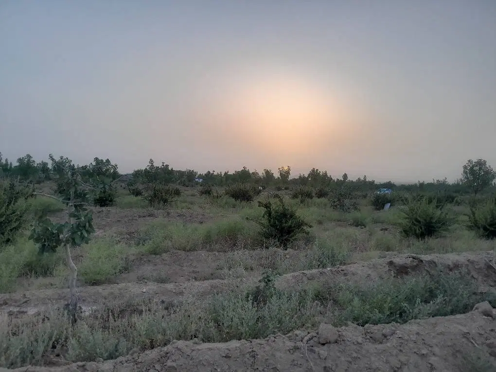 تصویر 10