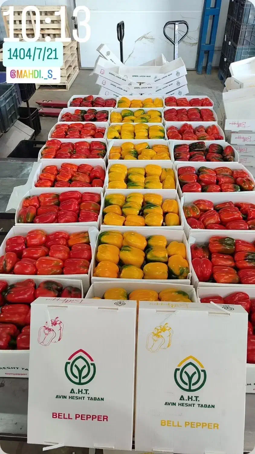 آگهی استخدام نیروی سورت خانم|استخدام خدمات فروشگاه و رستوران|دهق, |دیوار