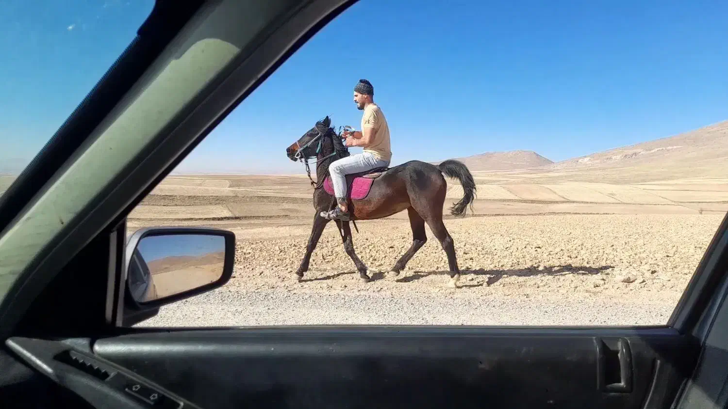 اسب|اسب و تجهیزات اسبسواری|زنجان, |دیوار