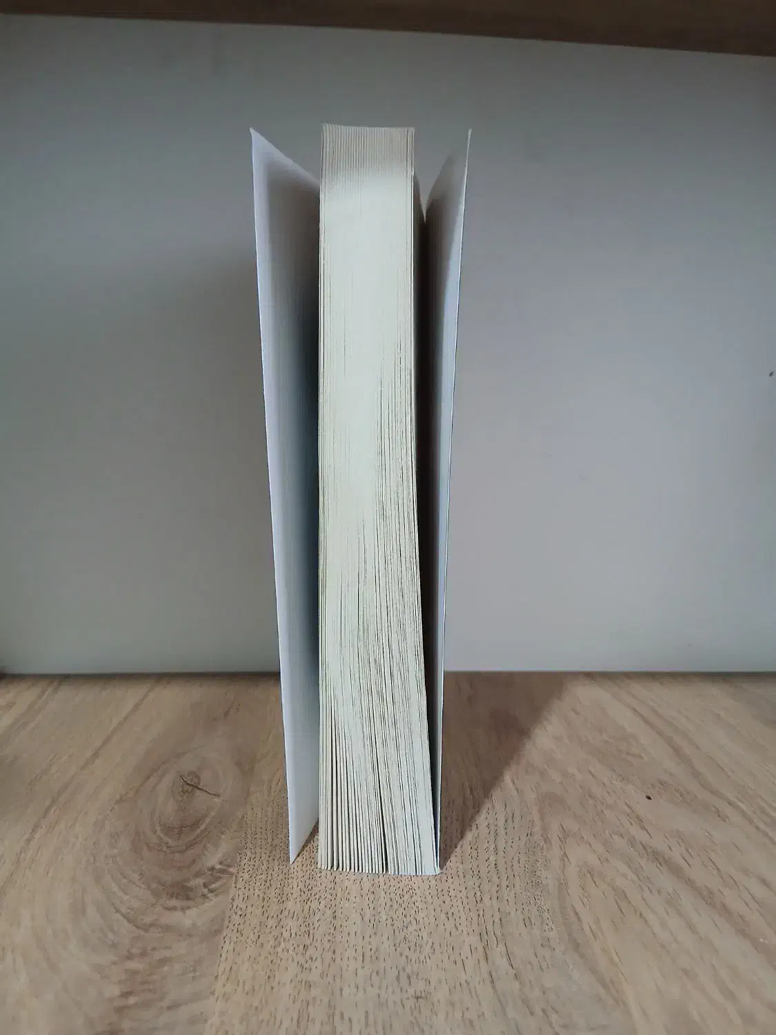 کتاب the final Gambit|کتاب و مجله ادبی|رشت, دیانتی|دیوار