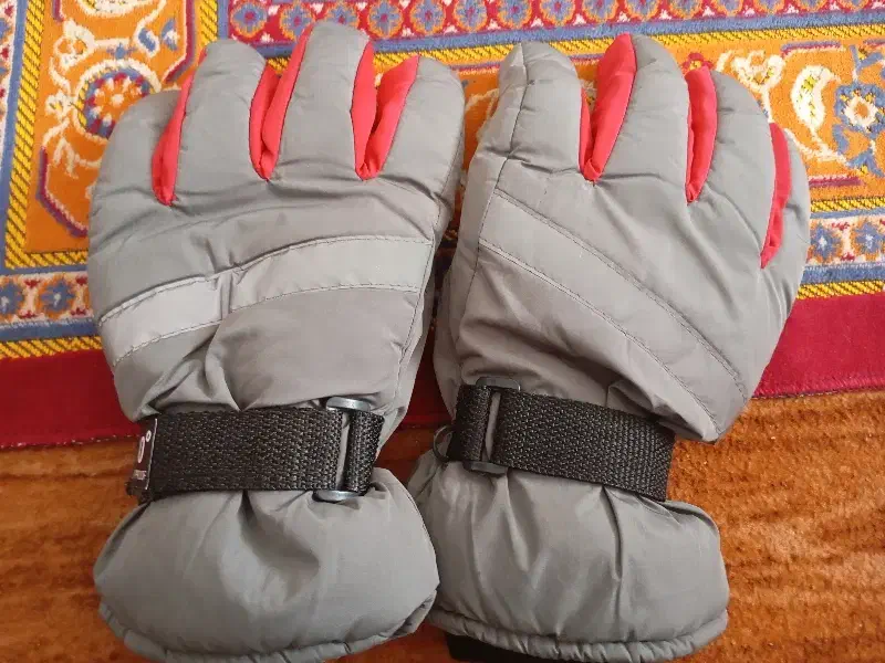 دستکش موتور|لباس|گنبد کاووس, |دیوار