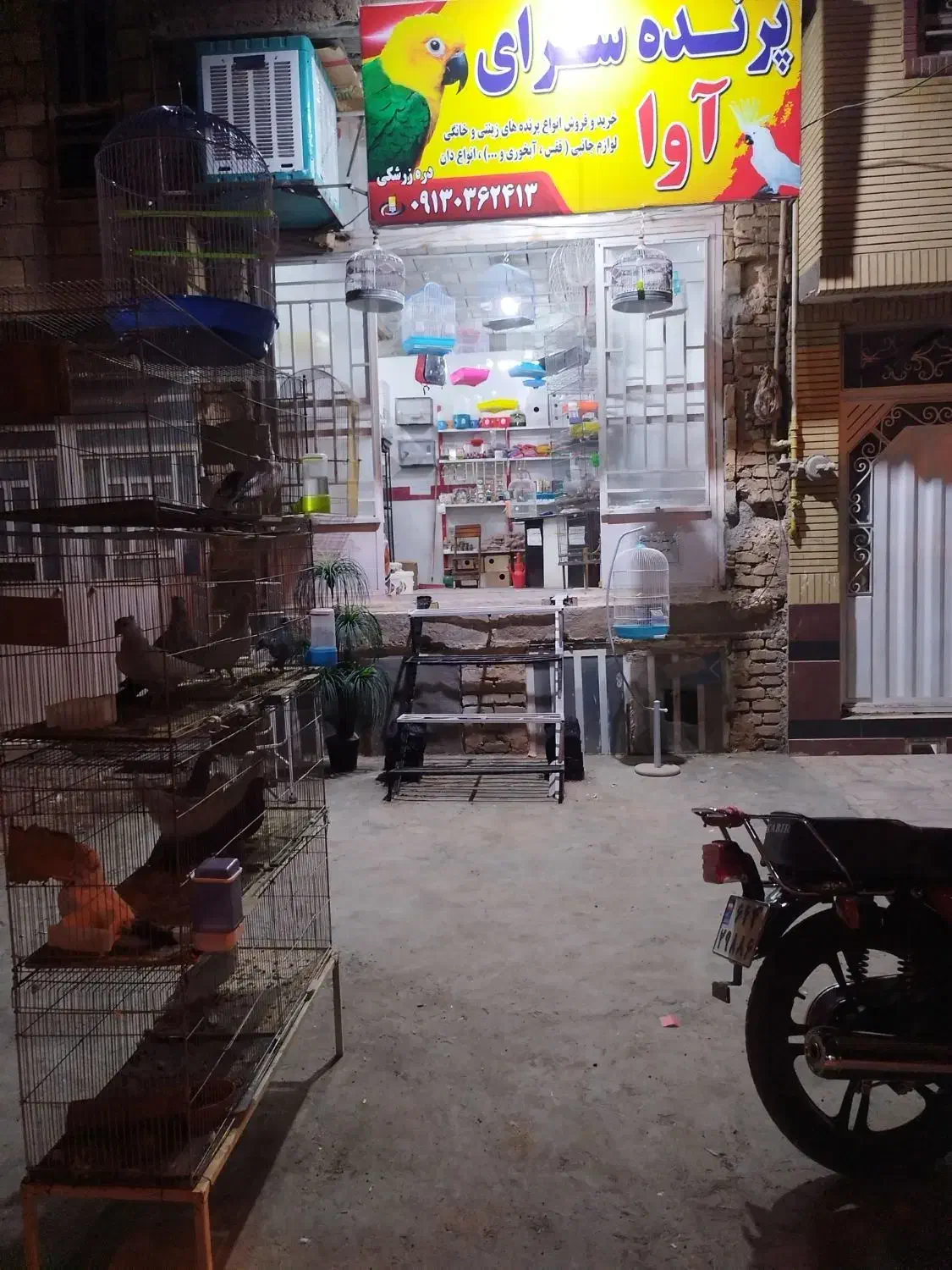 پرنده|پرنده|یزد, |دیوار