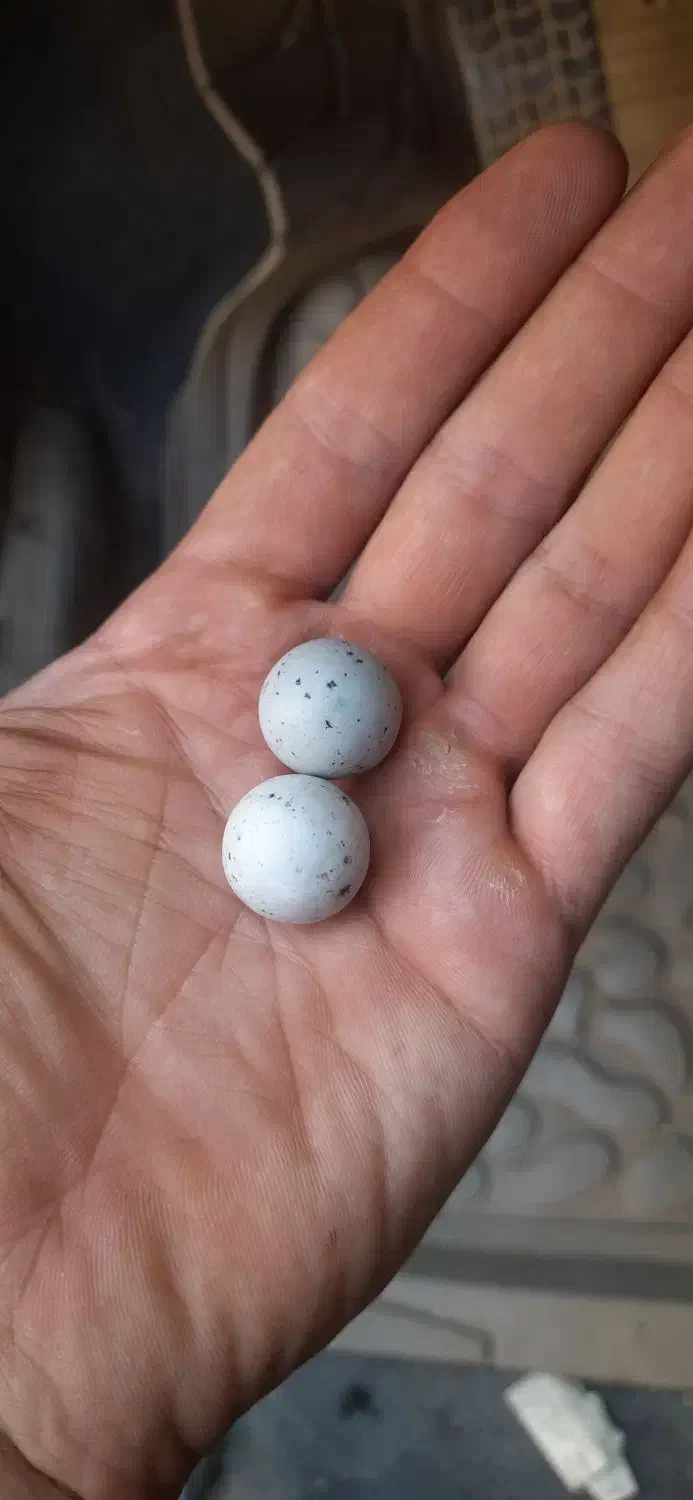 سنگ الماس اسیاب در کاسه یشم|کلکسیون اشیاء عتیقه|همدان, |دیوار