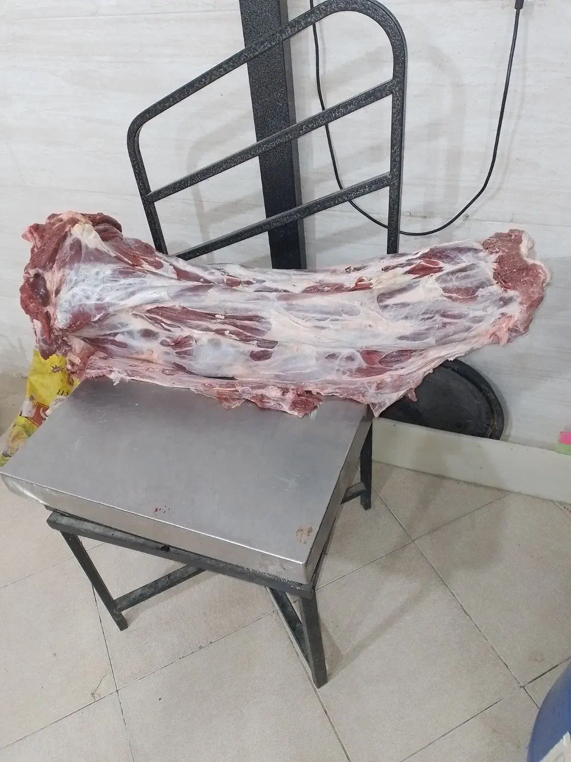 گوشت بچه شتر|خوردنی و آشامیدنی|اصفهان, شیخ طوسی|دیوار