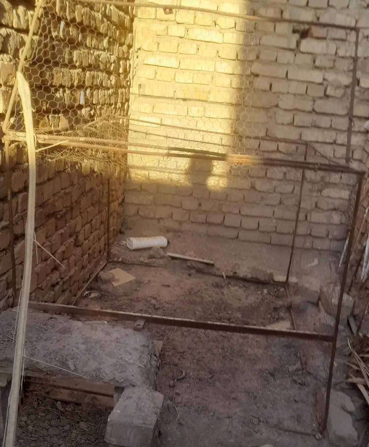 قفس مرغ|لوازم جانبی حیوانات|رفسنجان, |دیوار