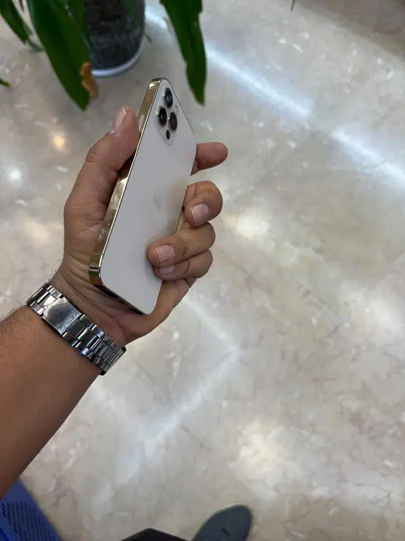 iphone 12pro 256gig|موبایل|کرمان, |دیوار