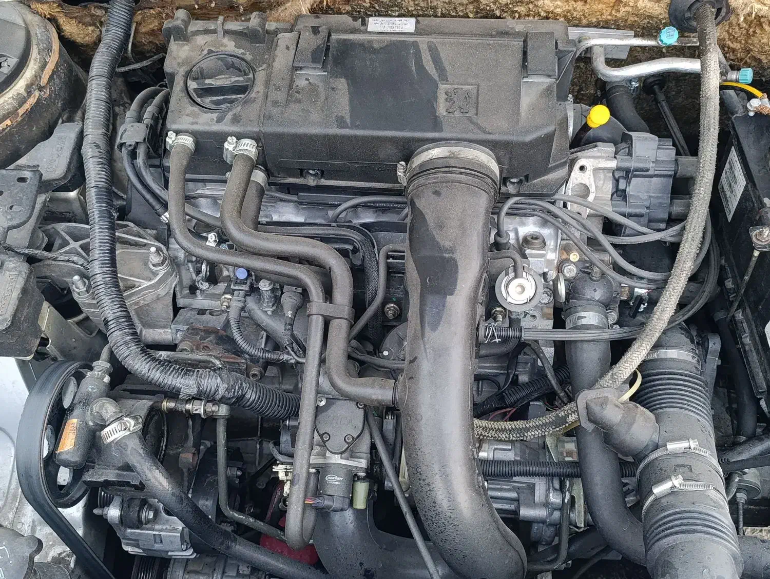 پژو 405 مدل 1385 ترو تمیز|خودرو سواری و وانت|چابهار, |دیوار