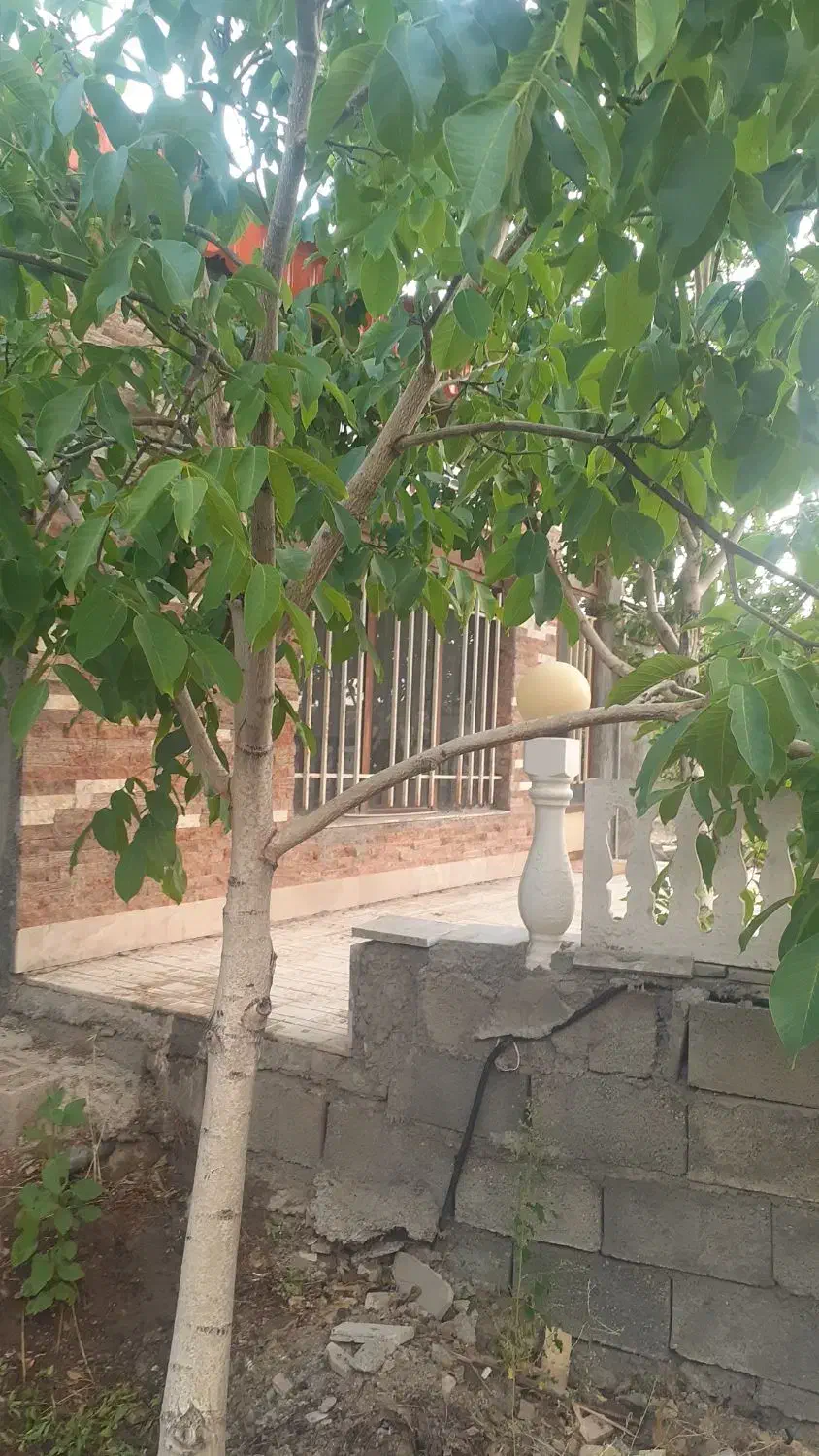 فروش باغ ویلا|فروش دفتر صنعتی، کشاورزی، تجاری|فریدونشهر, |دیوار