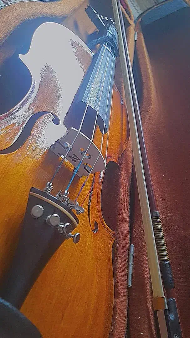 ویولن دست ساز|ویولن|فیروزآباد (فارس), |دیوار