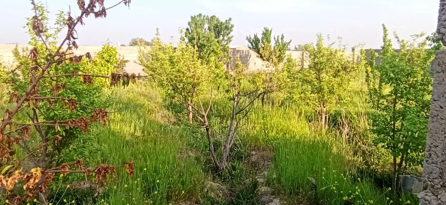 باغ|فروش دفتر صنعتی، کشاورزی، تجاری|چناران, |دیوار