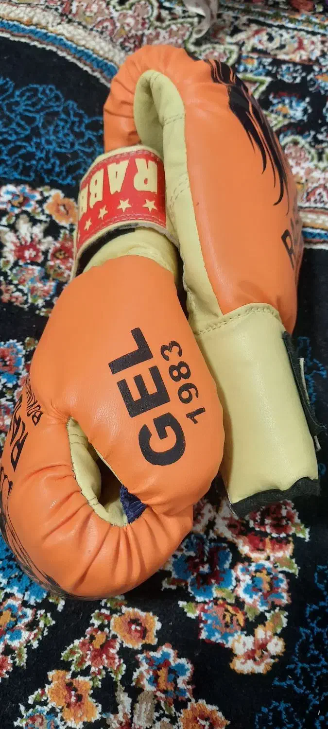 دستکش بوکس نو کفش فوتبالی مخصوص چمن|تجهیزات ورزشی|ساوه, |دیوار