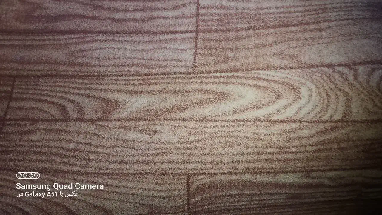 موکت|موکت|قم, باغ کرباسی|دیوار