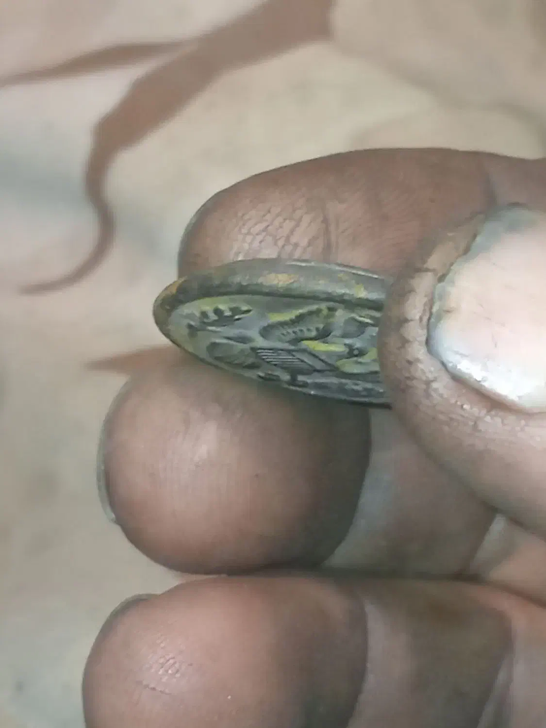 یک سکه قدیمی وزیبا|کلکسیون سکه، تمبر، اسکناس|جوکار, |دیوار