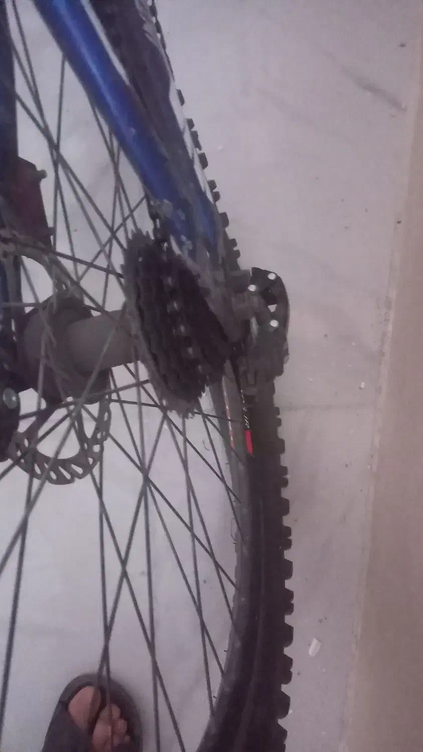 دوچرخه|دوچرخه، اسکیت، اسکوتر|ساوه, |دیوار