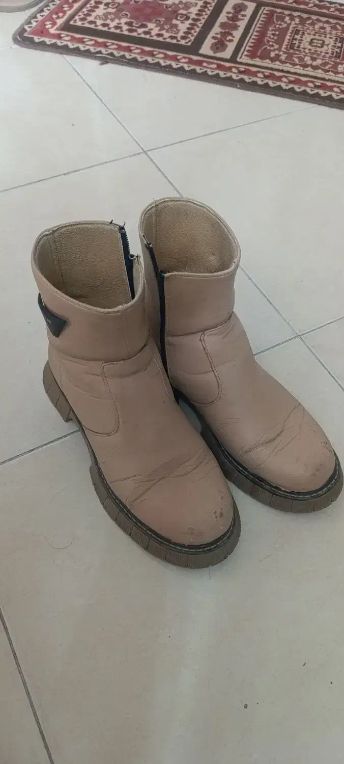 کیف و کفش|کیف، کفش، کمربند|گلبهار, شهر جدید گلبهار|دیوار