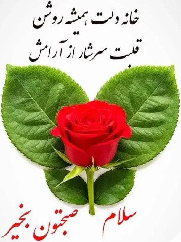 جابه جایی مسافر|خدمات حمل و نقل|بهبهان, |دیوار