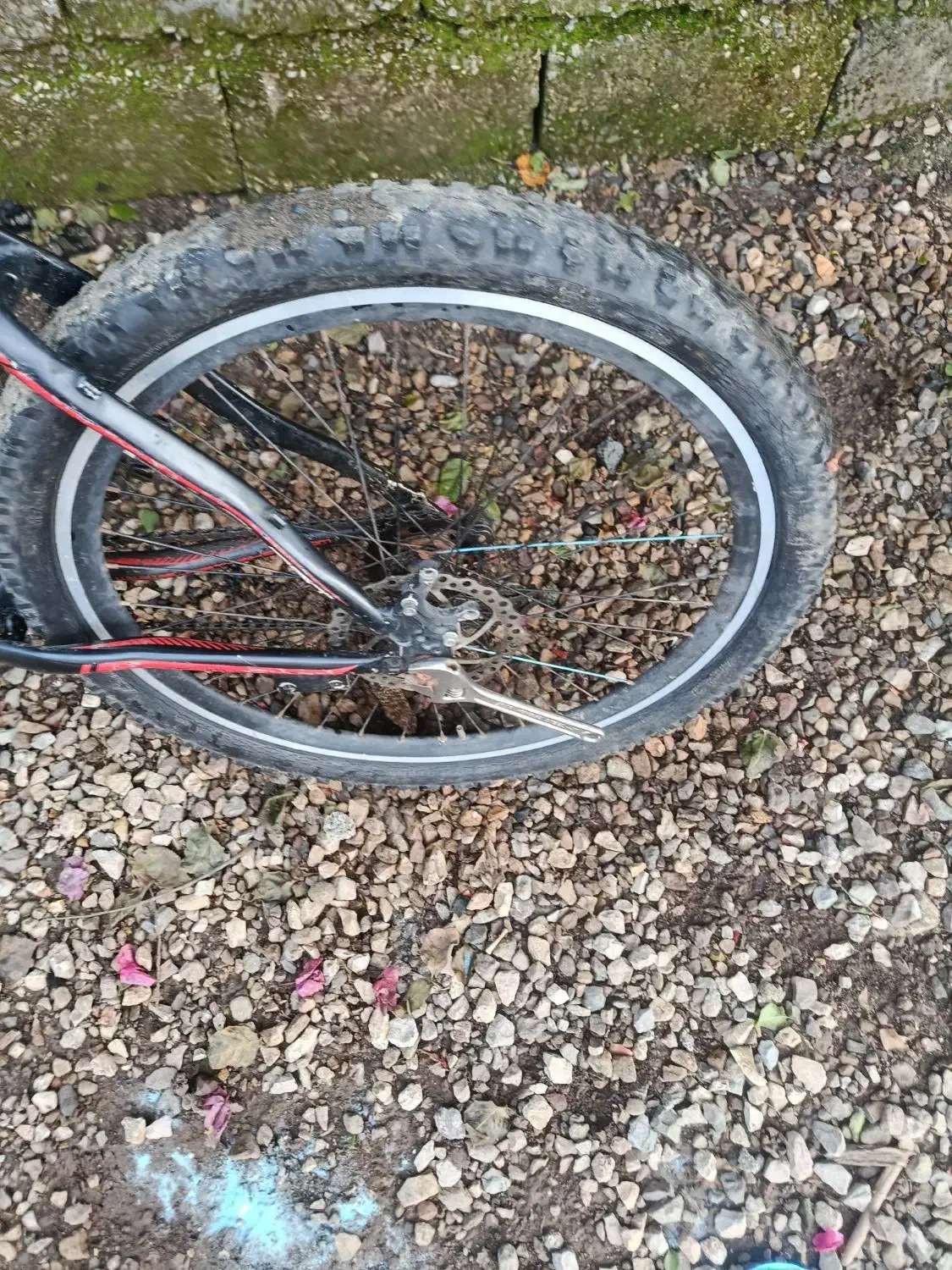 دوچرخه فروشی|دوچرخه، اسکیت، اسکوتر|سلمانشهر, |دیوار