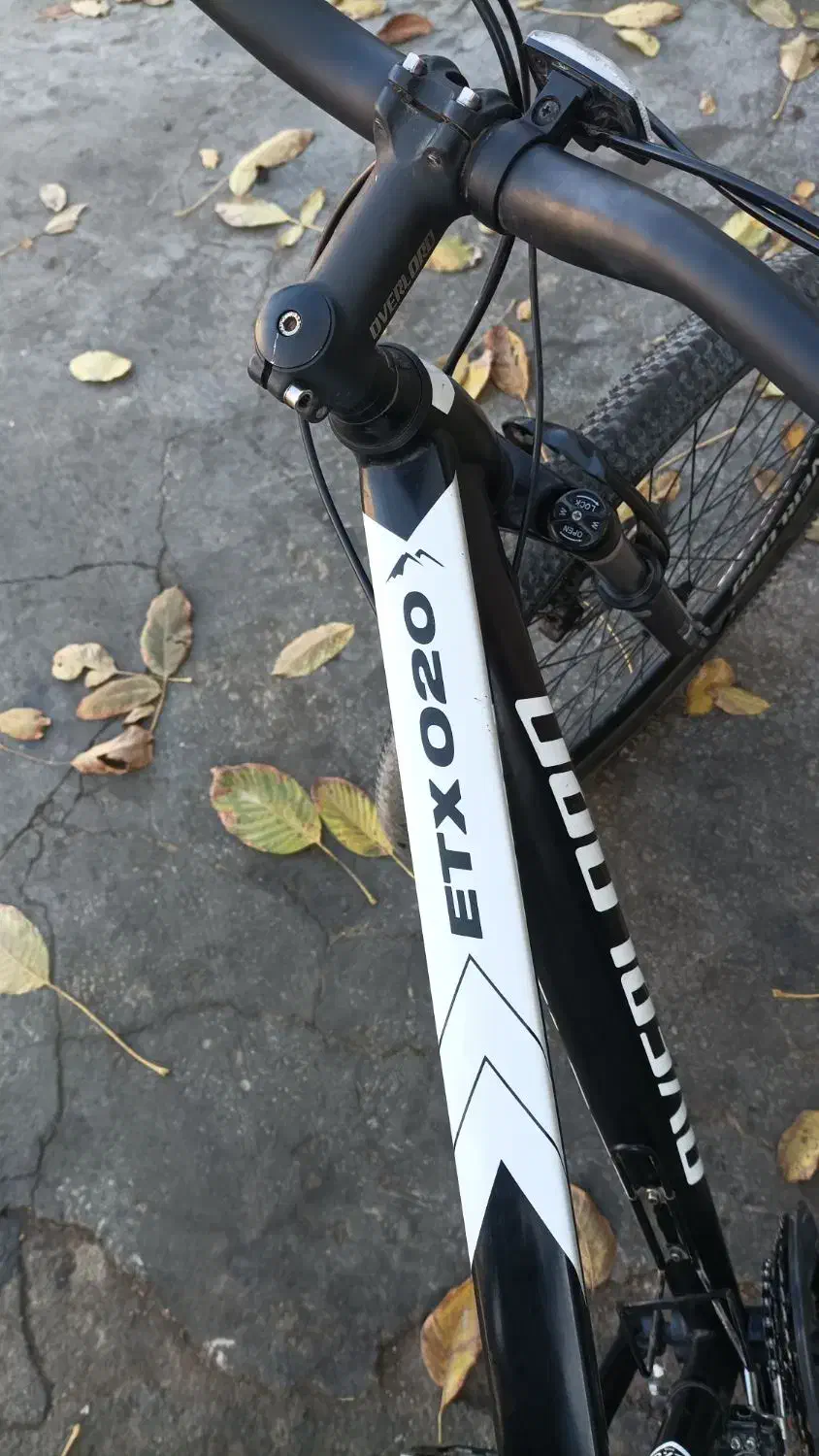 دوچرخه اورلورد|دوچرخه، اسکیت، اسکوتر|سلماس, |دیوار