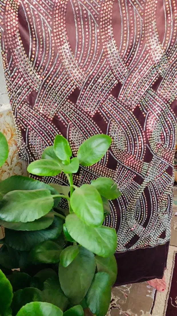 لباس محلی|لباس|یاسوج, |دیوار