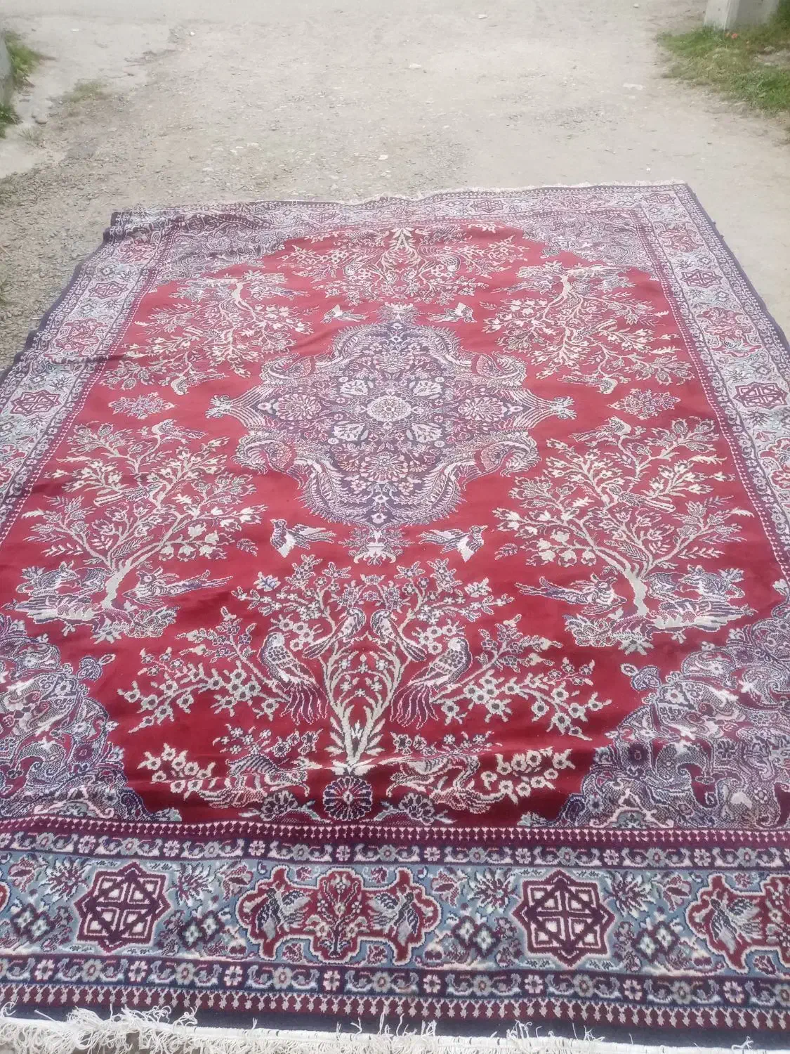 فرش ۱۲متری|فرش|کلارآباد, |دیوار