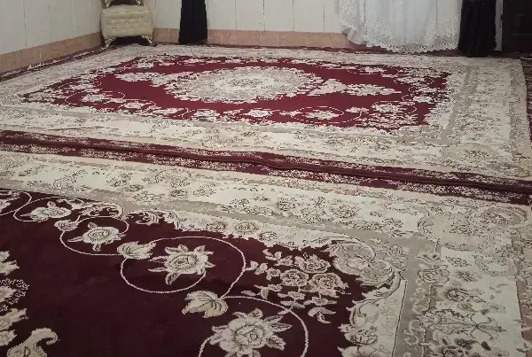 قالی|فرش|تایباد, |دیوار