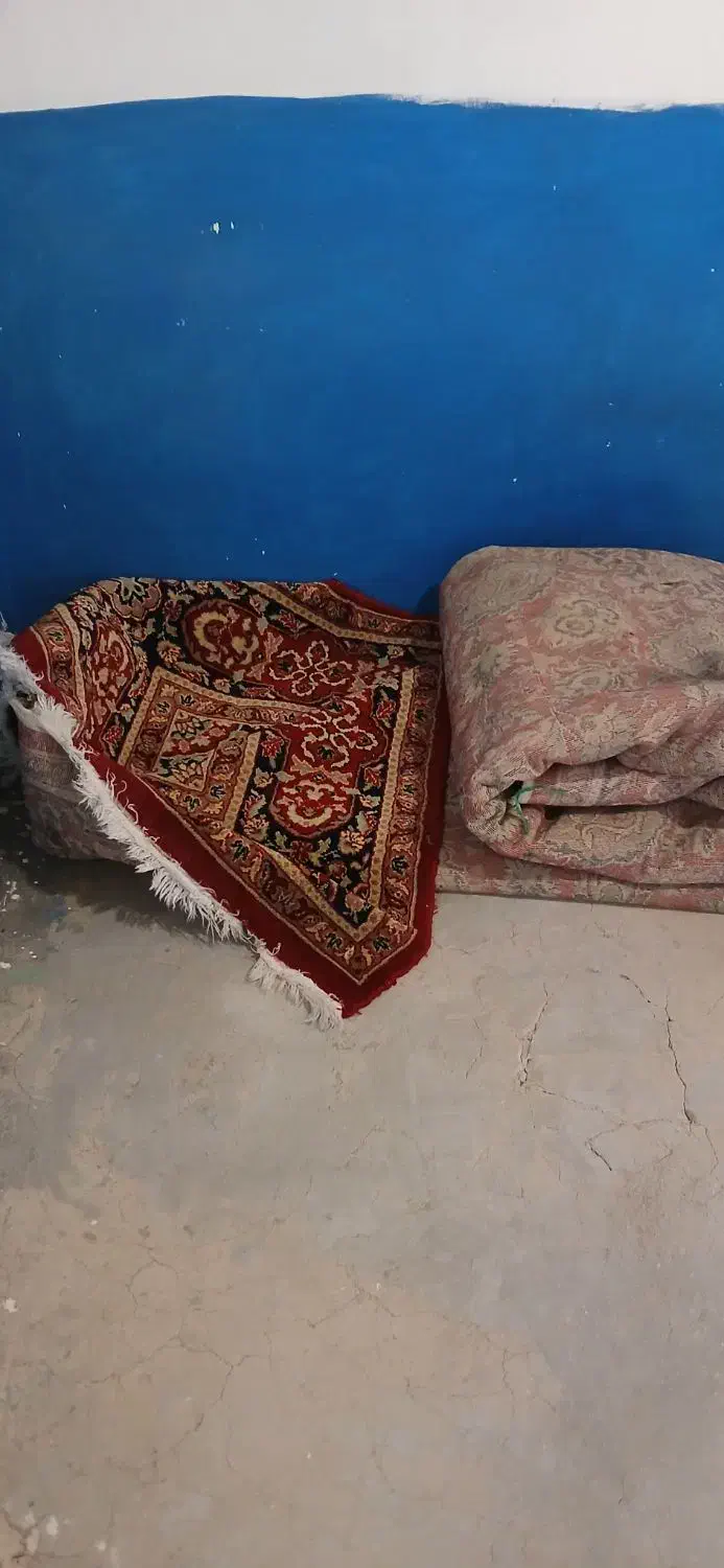 فرش|فرش|همدان, |دیوار