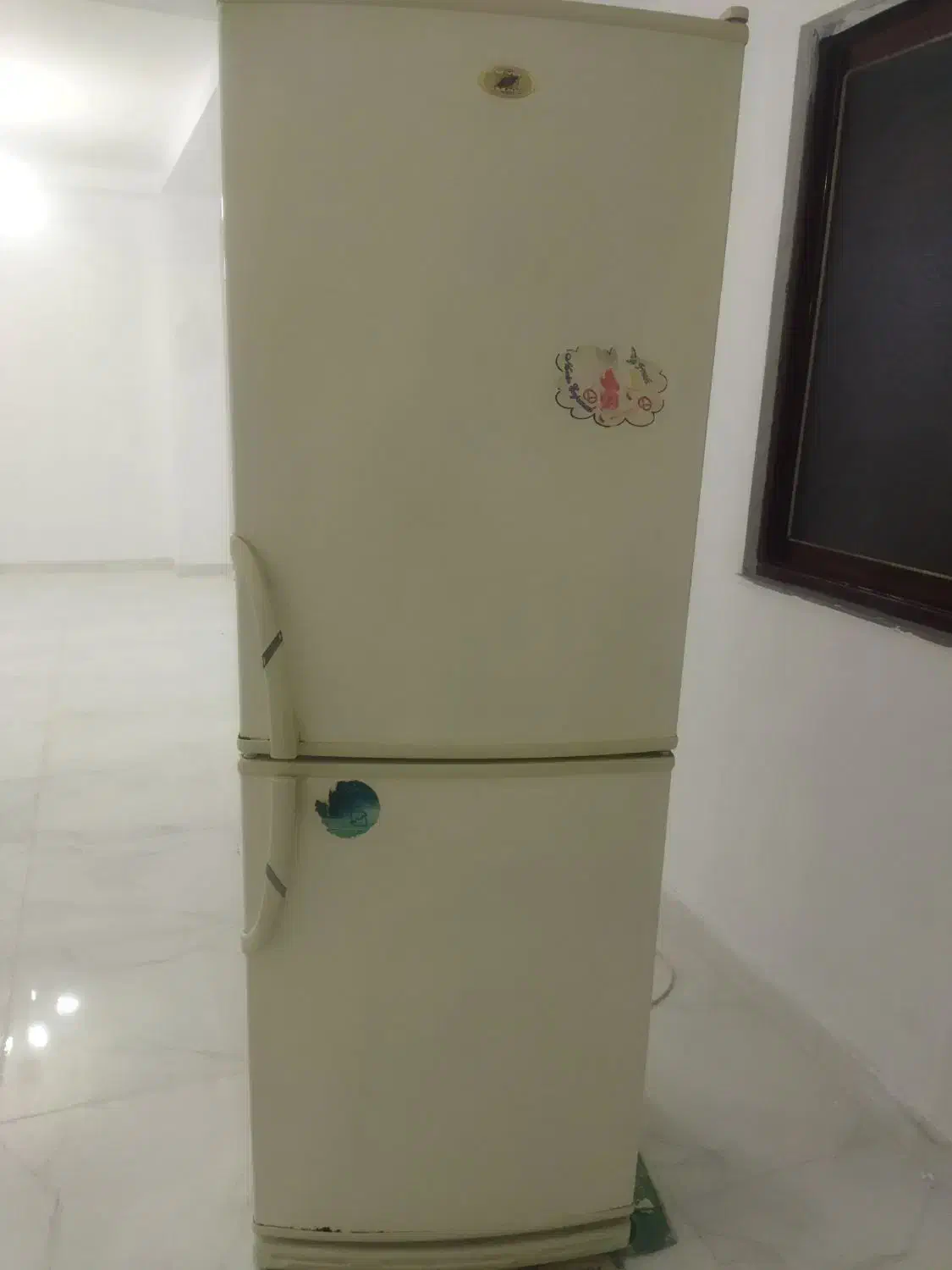 یخچال فریزر نوین انجماد|یخچال و فریزر|ساری, |دیوار