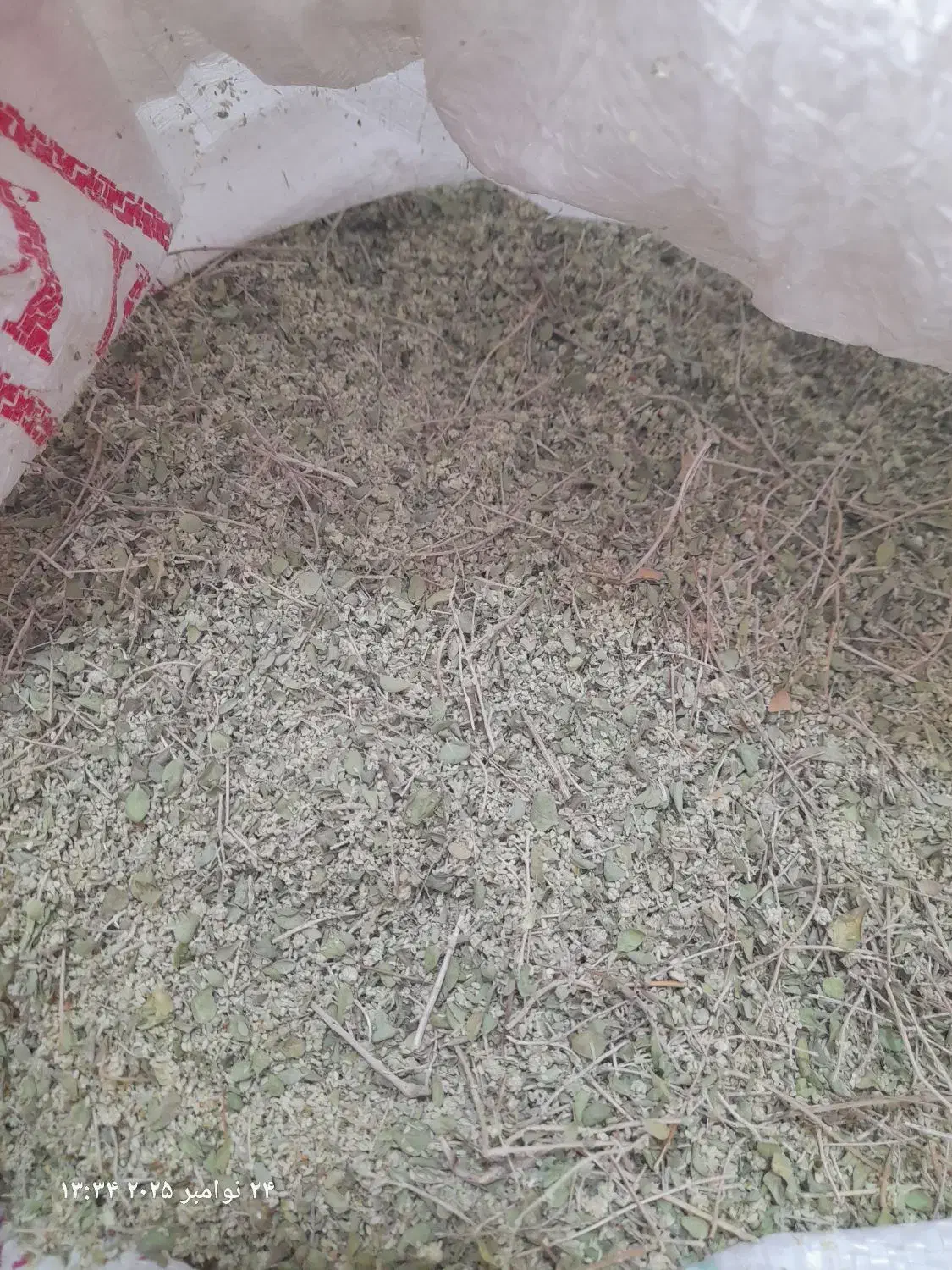 آویشن کوهی|عمده‌فروشی|اردکان, |دیوار