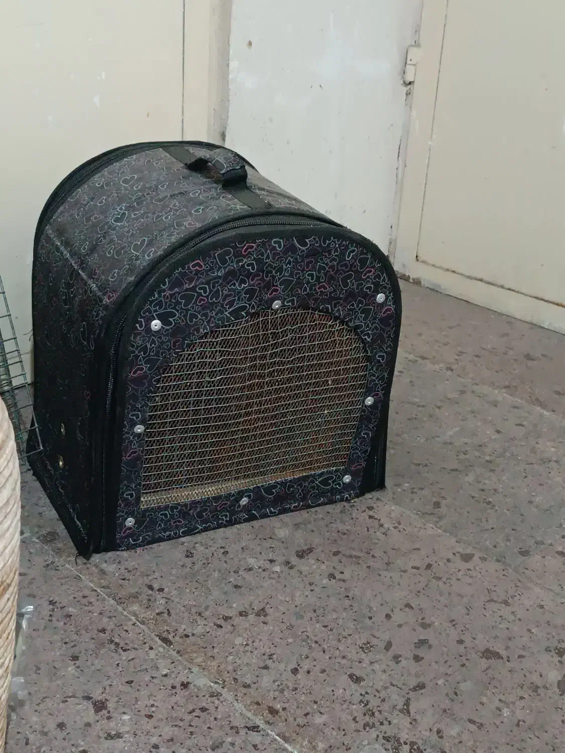 قفس کاسکو|لوازم جانبی حیوانات|تهران, پرستار|دیوار