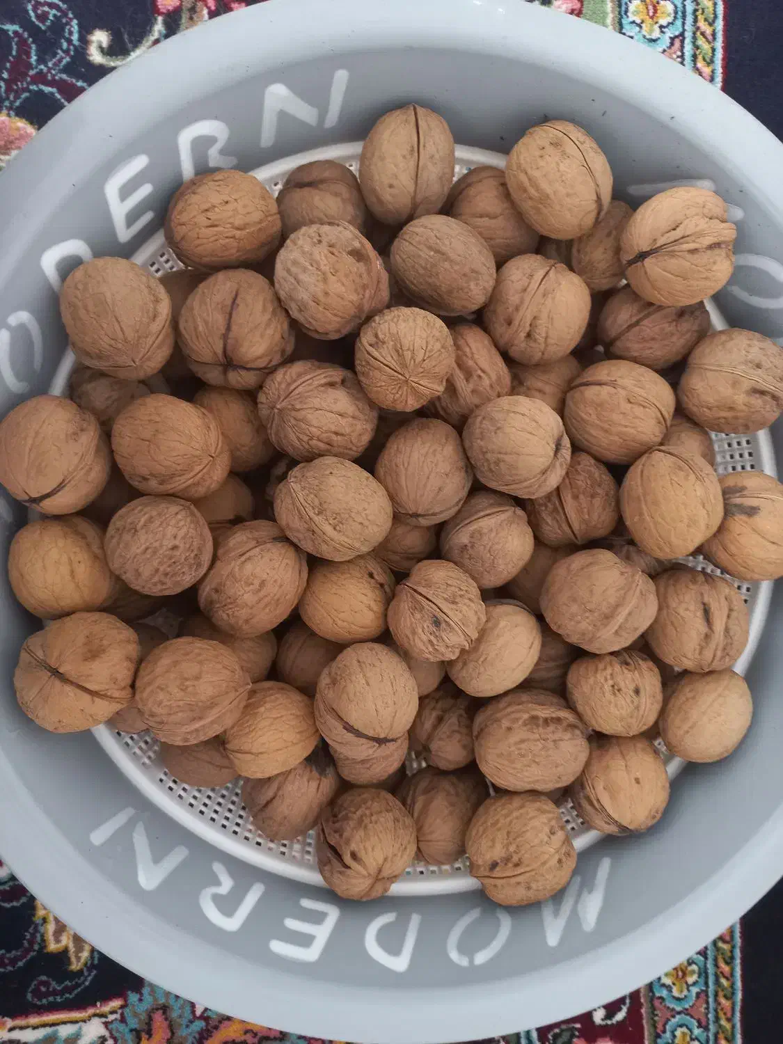گردو|خوردنی و آشامیدنی|کیار, |دیوار