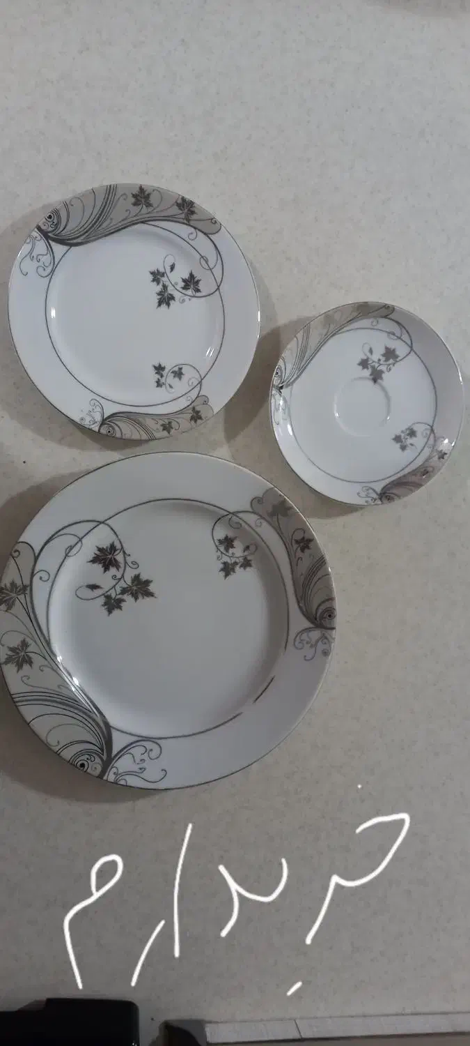 چینی سالم|ظروف سرو و پذیرایی|همدان, |دیوار