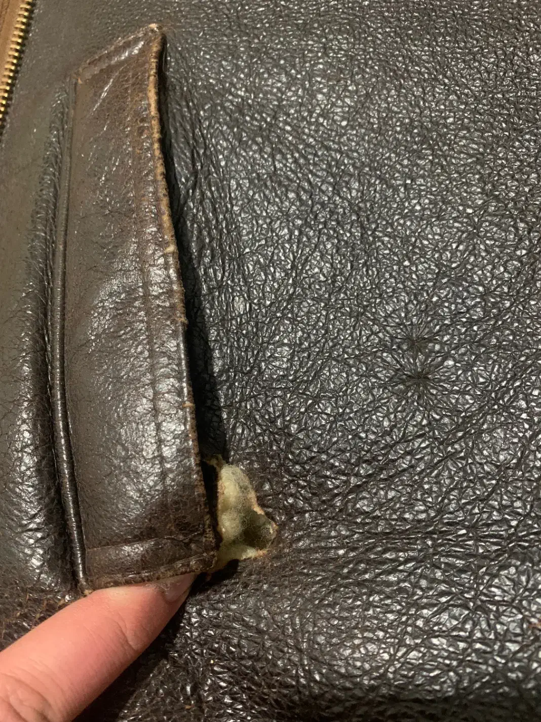 کاپشن بوفالو|لباس|تهران, مختاری|دیوار