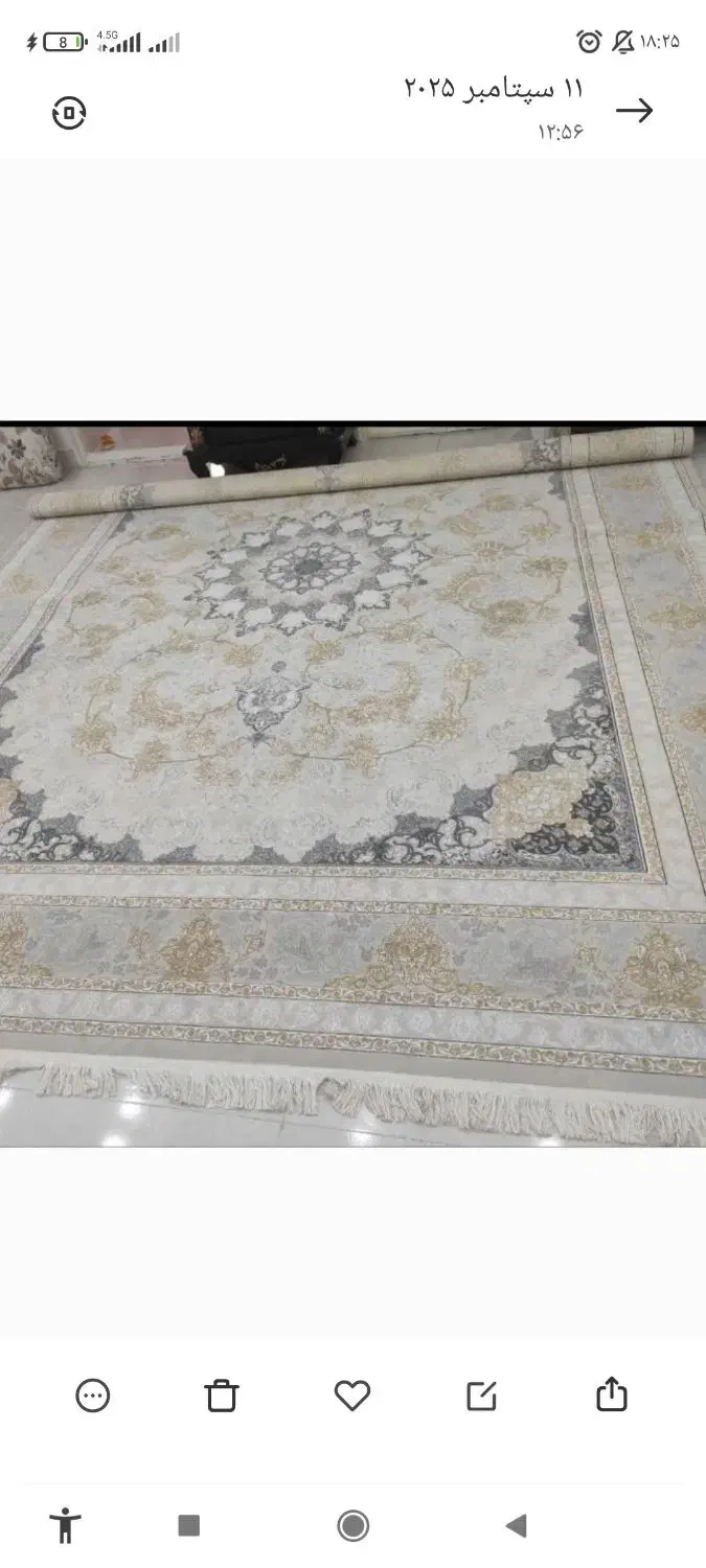 هم فروش هم معاوضه میکنم|فرش|ایلام, |دیوار