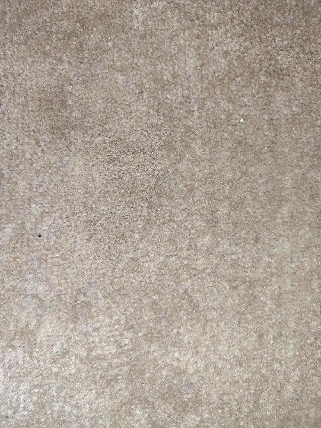 گلیم فرش ۳در۴|گلیم، جاجیم، گبه|قم, گلزار|دیوار