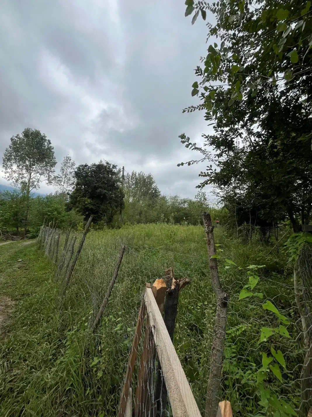 زمین خوش نقش و دوبر|فروش زمین و ملک کلنگی|تهران, میدان میوه و ترهبار مرکزی|دیوار