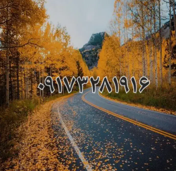 فروش خط دائمی ب صورت توافقی|سیمکارت|شیراز, فلکه گاز|دیوار