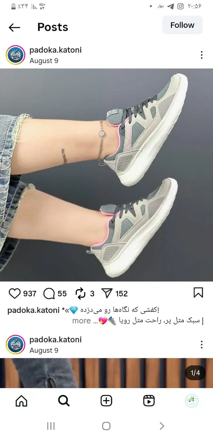 کفش|کیف، کفش، کمربند|کرمان, |دیوار