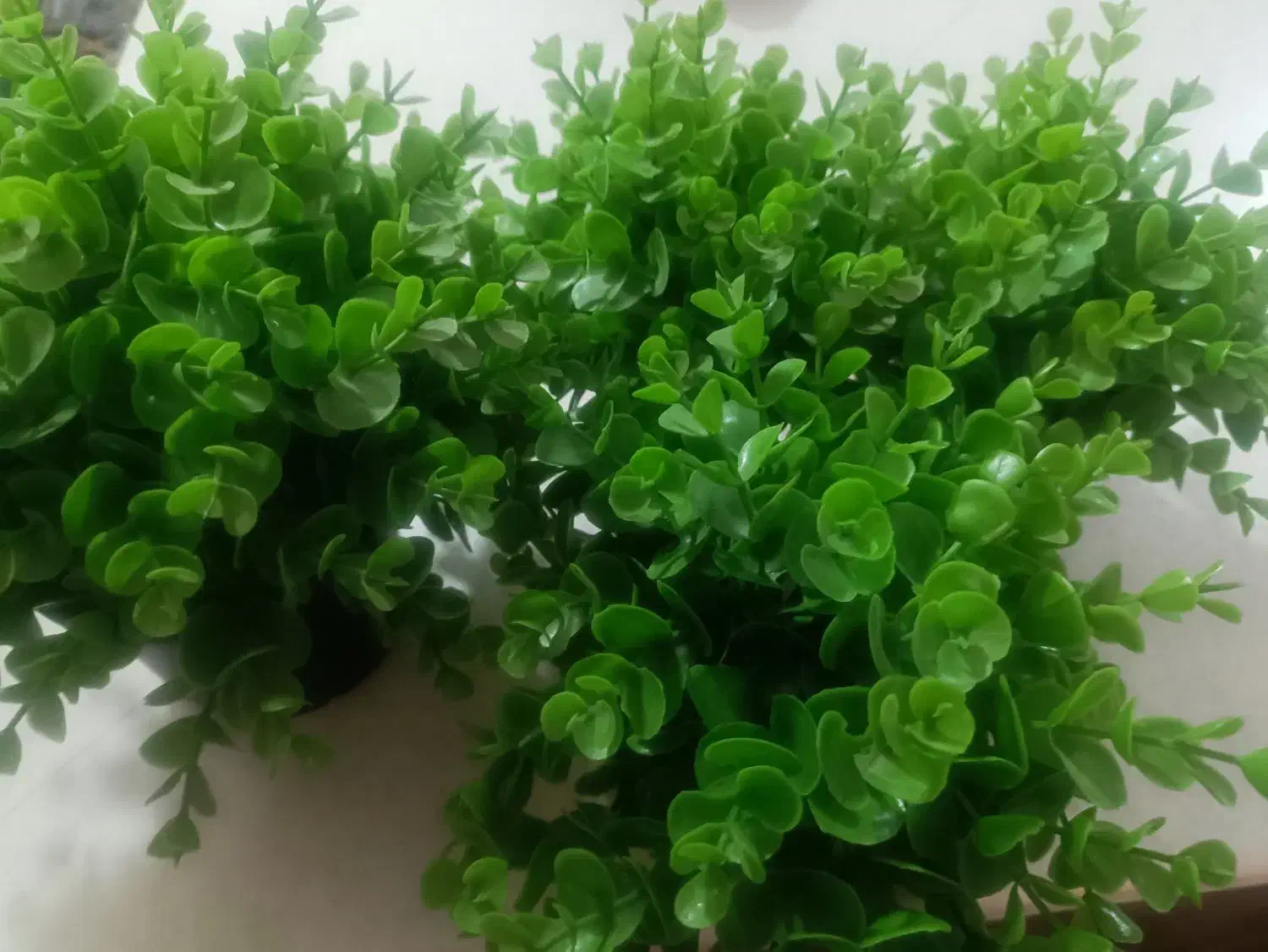 گلدان|گل مصنوعی|زاهدان, |دیوار