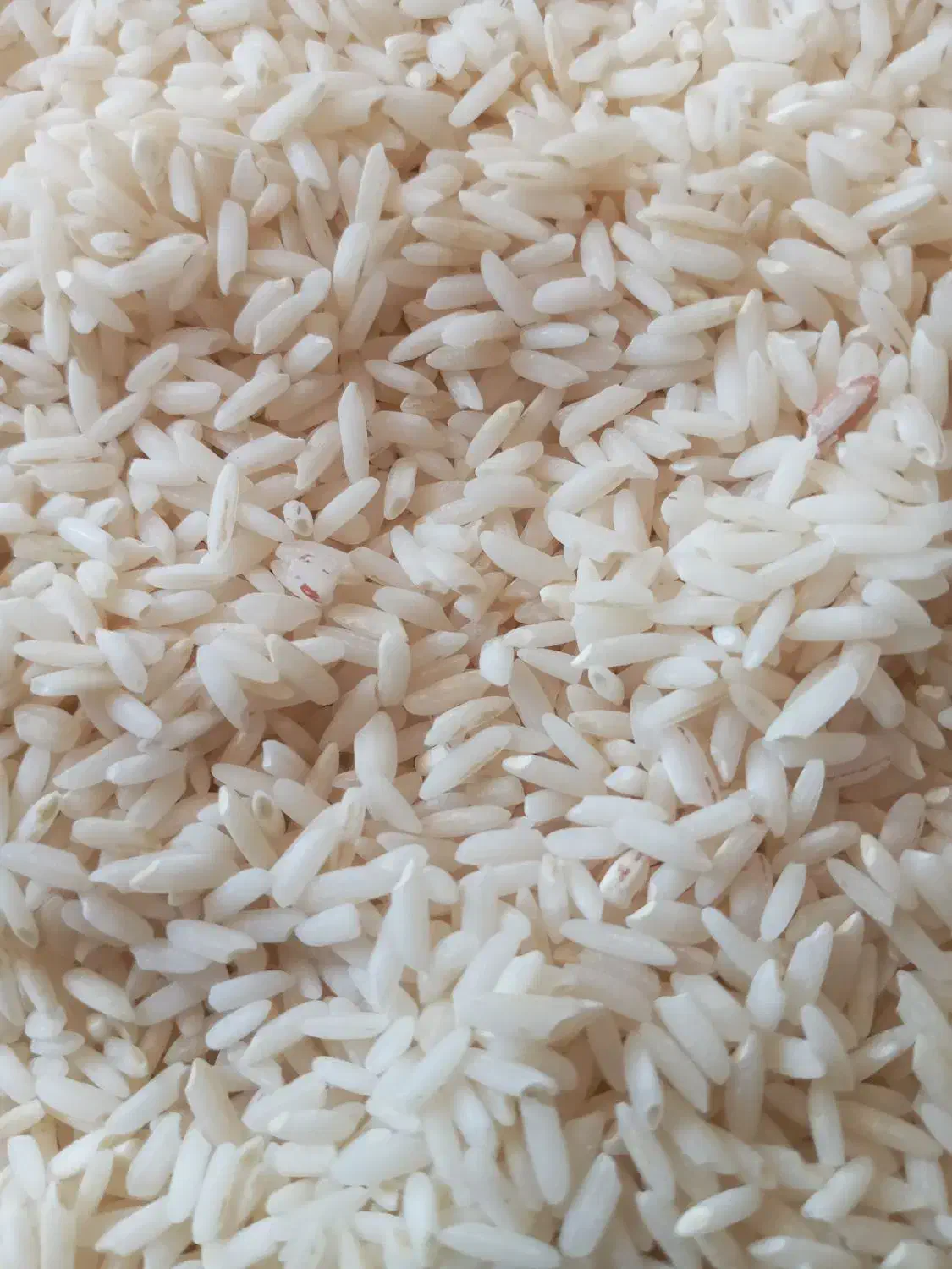 برنج علی کاظمی درجه یک بشرط پخت چقلوندی|خوردنی و آشامیدنی|بیرانوند, |دیوار