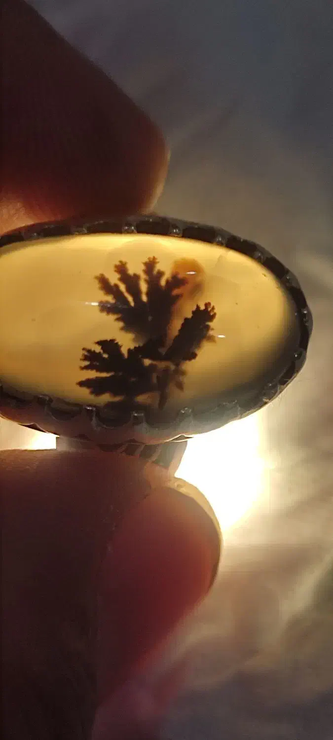 انگشتر شجر|جواهرات|اردبیل, |دیوار