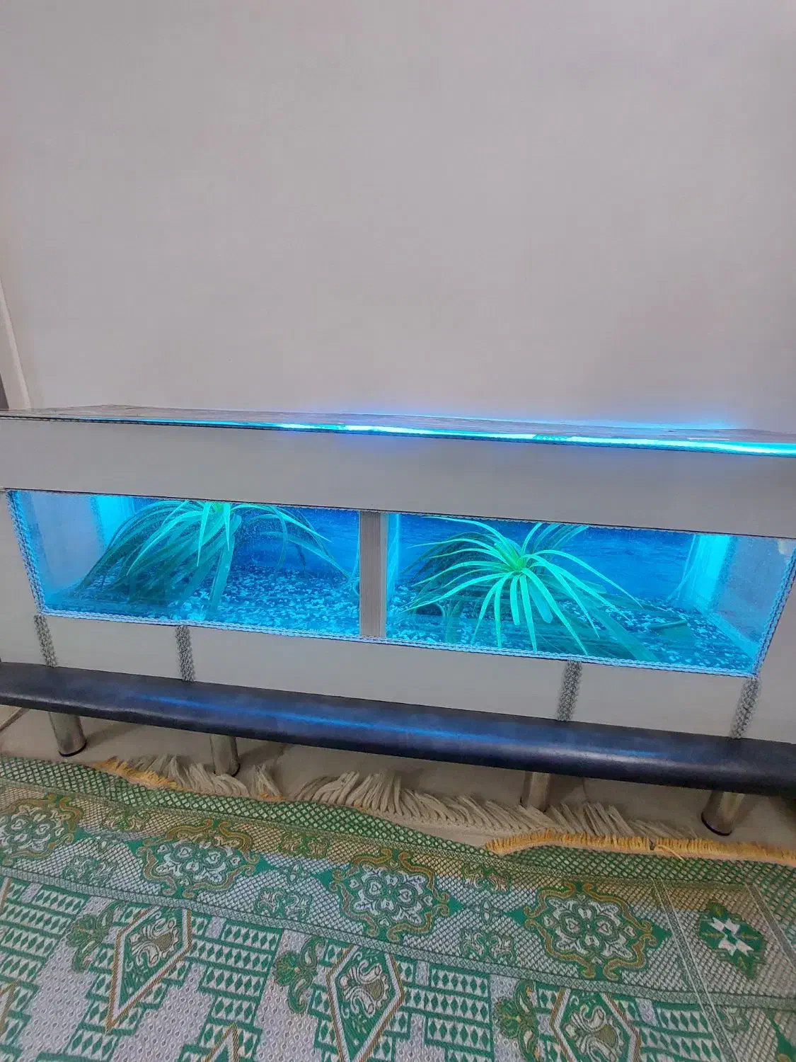 آکواریوم|ماهی|قم, انسجام|دیوار