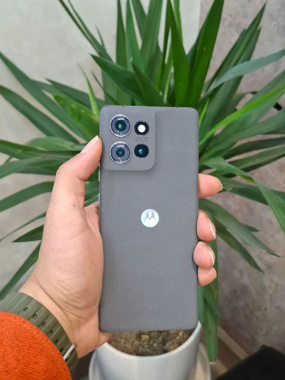 موتورولا Moto Edge 50 رم ۱۲ حافظه ۵۱۲|موبایل|مشهد, بهشت|دیوار