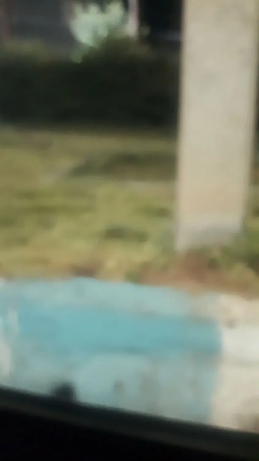 ۷۵ متر زیر بنا ۱۴ قصب زمین|فروش خانه و ویلا|زرند, |دیوار