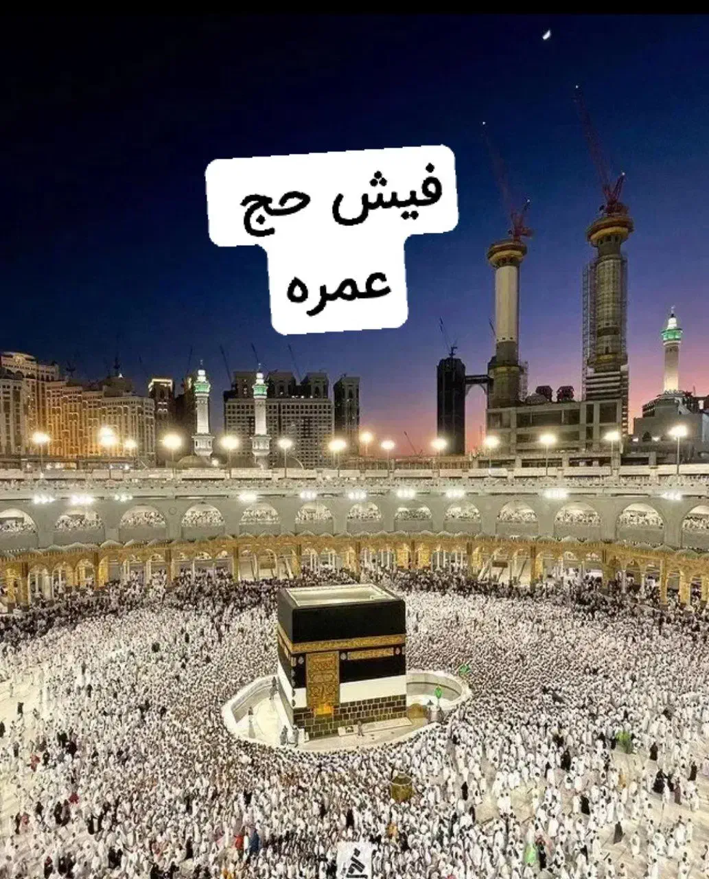 فروش فوری فیش عمره|تور و چارتر|قم, بکایی|دیوار