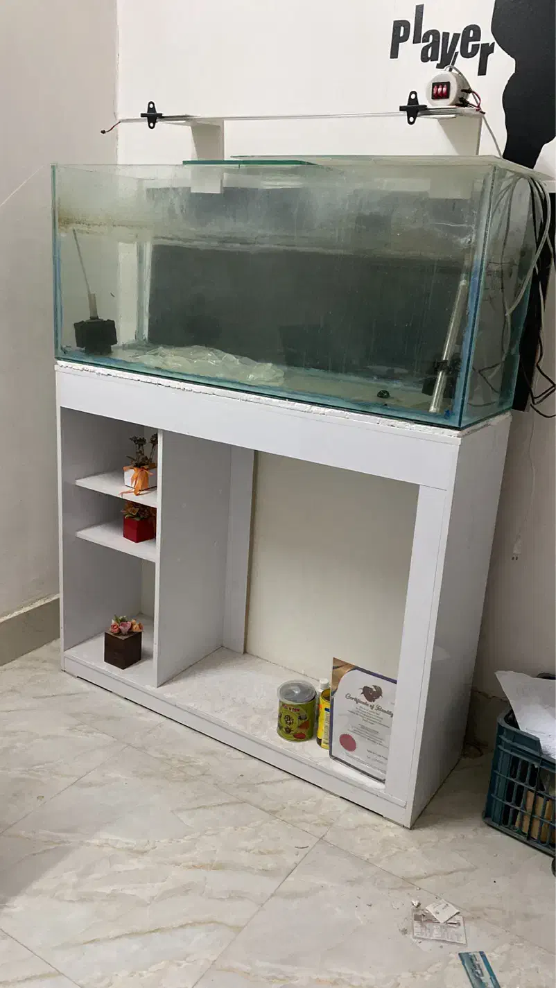 اکواریوم با میز ام دی اف|ماهی|زاهدان, |دیوار