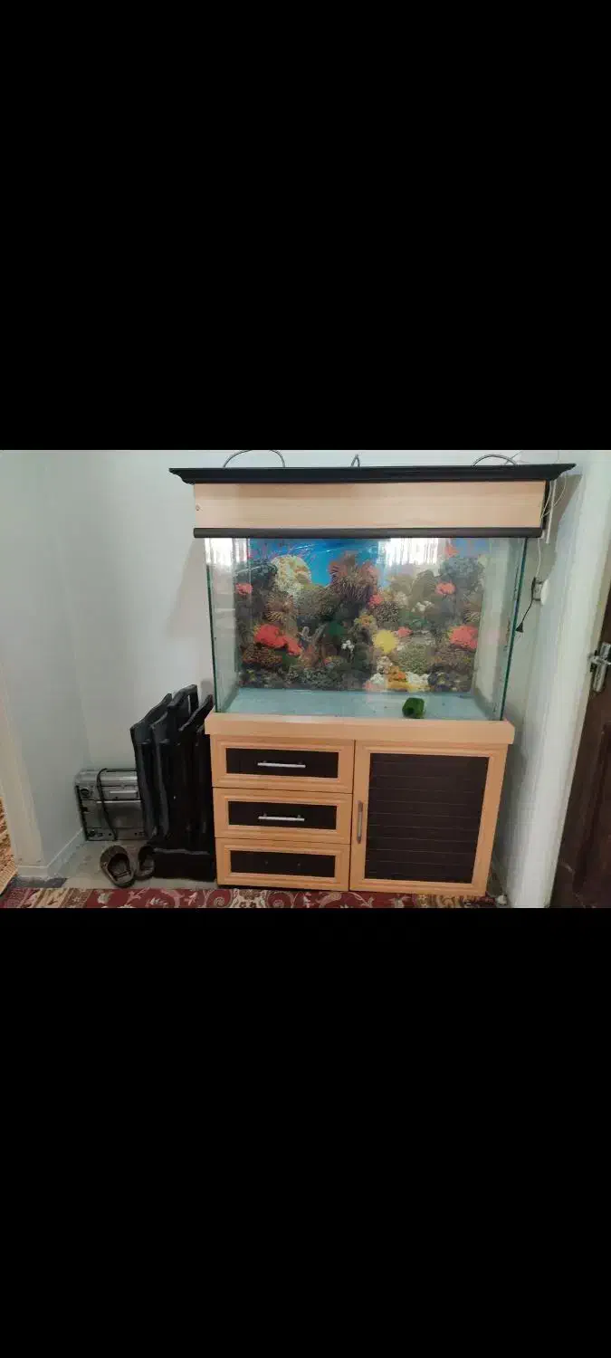 اکواریم با لوازم|ماهی|همدان, |دیوار