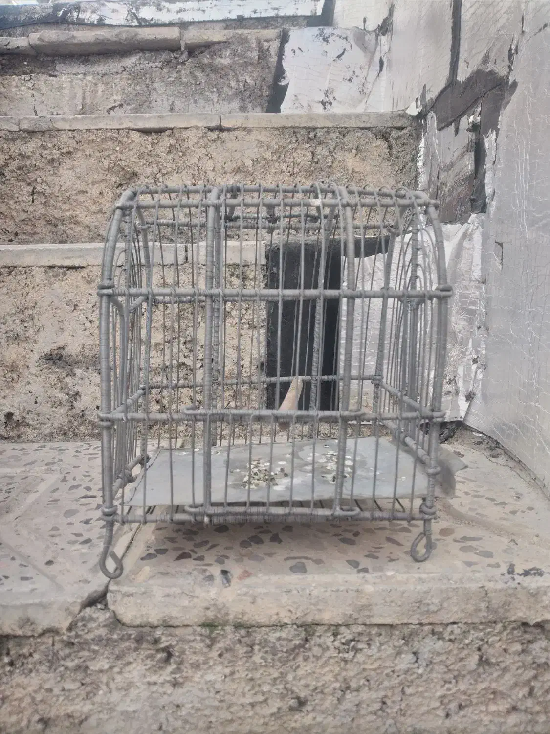 قفس کوچیک|حیوانات|ایلام, |دیوار