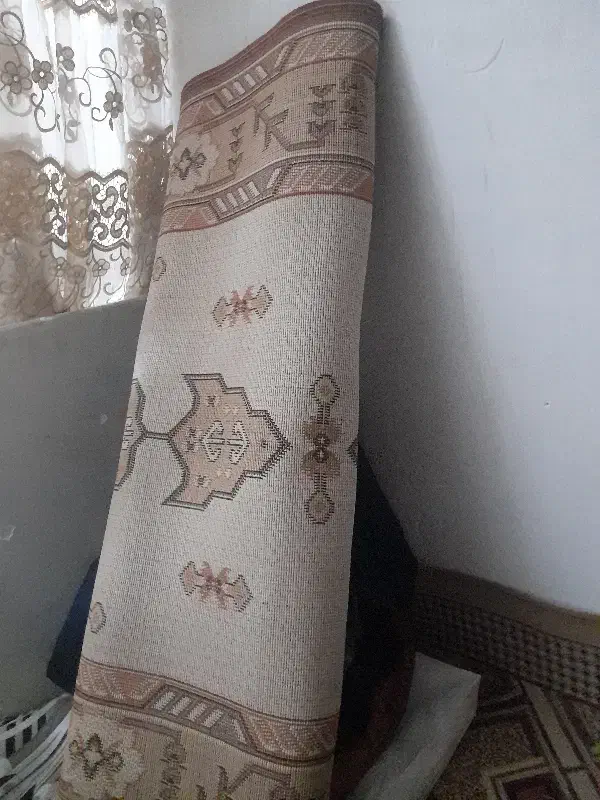 موکت|موکت|قم, زند آباد|دیوار