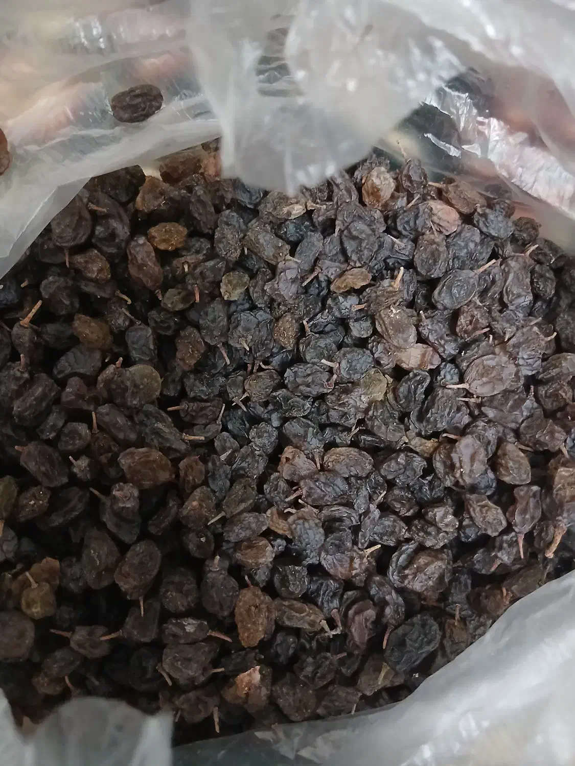 کشمش|خوردنی و آشامیدنی|ساوه, |دیوار