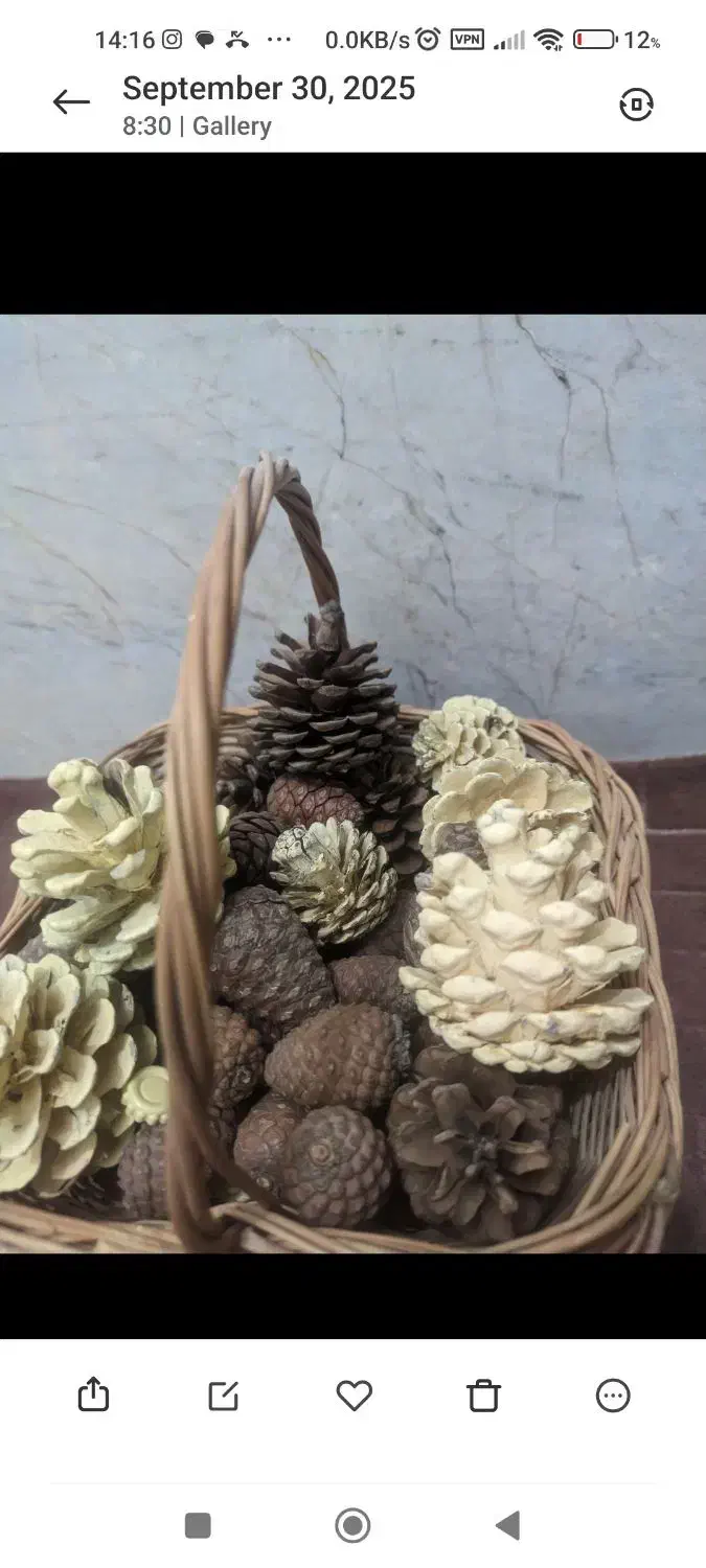 سبد حصیری کاج و بلوط یلدا|صنایع دستی و سایر لوازم تزئینی|قم, نوقطار|دیوار